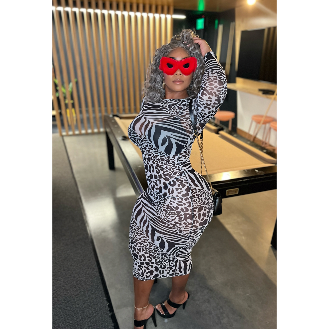 See Through Me Dress - We Stay Pretty
