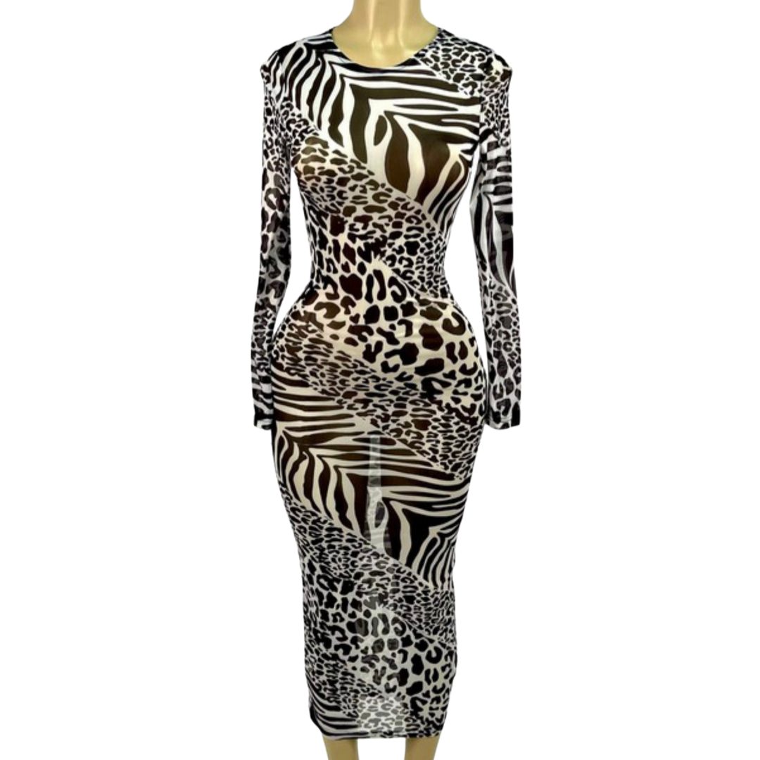 See Through Me Dress - We Stay Pretty