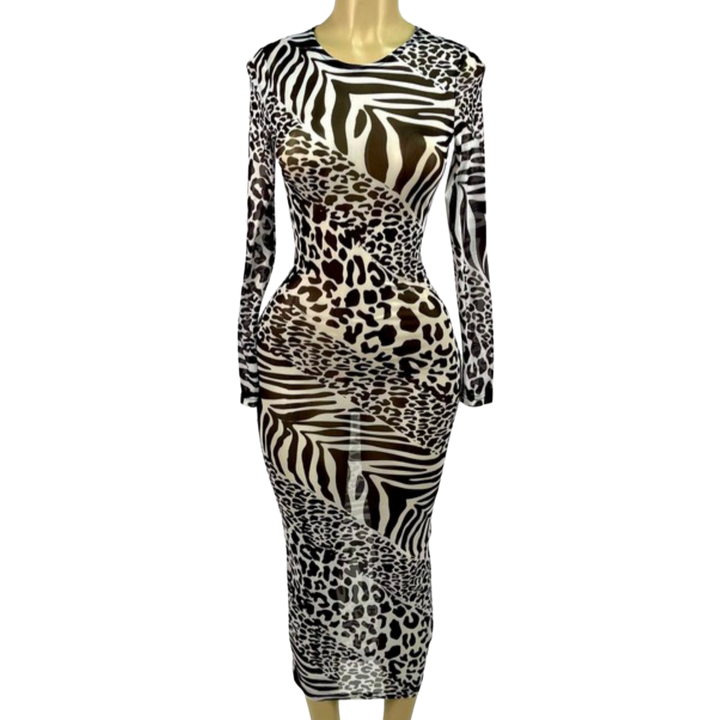 See Through Me Dress - We Stay Pretty